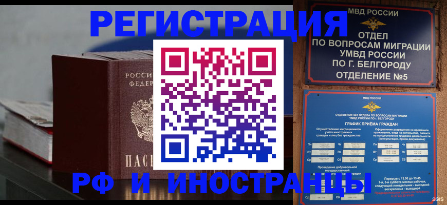 прописка 2025 в Александрове